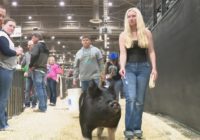 'The best set of people' | RodeoHouston livestock show participant grateful for community support after Texas Panhandle wildfires