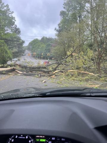 I had to slam on brakes as this tree fell in front of me at the intersection of Lake Pine and Cary Parkway at about 9:40 I had to slam on brakes as this tree fell in front of me at the intersection of Lake Pine and Cary Parkway at about 9:40