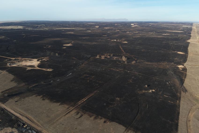 The burn scar left after the Windy Deuce Fire stopped near the edge of Borger, Texas, where vegetation had been removed months earlier by a seven-mile prescribed burn.