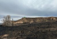 Smokehouse Creek wildfire victims line up lawsuits against utility Smokehouse Creek wildfire victims line up lawsuits against utility