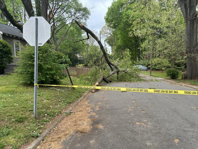 Tree fallen on Hudson Street and Reaves Drive in Raleigh. Tree fallen on Hudson Street and Reaves Drive in Raleigh.