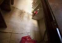 If your home floods, here are steps you can take to address mold If your home floods, here are steps you can take to address mold