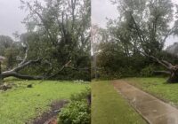 PHOTOS: Widespread severe storm damage across DFW