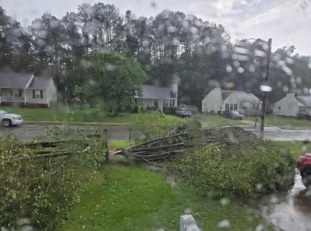 Downed trees in Wendell. Downed trees in Wendell.