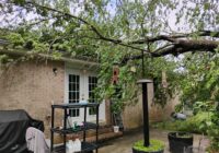 Man injured when tree falls, homes damaged in Raleigh and Garner during storms
