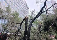 More than 1.6 million people remain without power in Houston after Hurricane Beryl