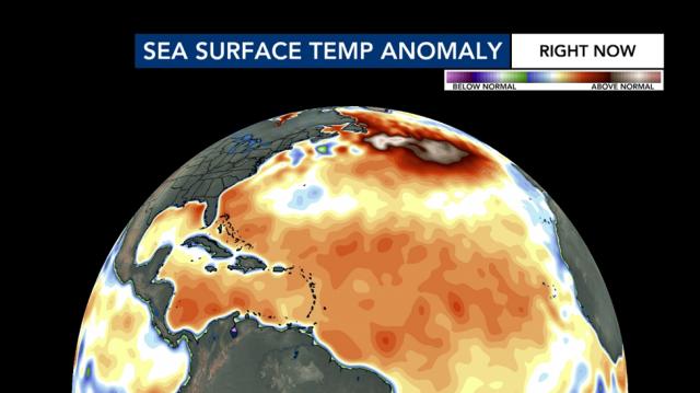 Sea surface temp anomaly 