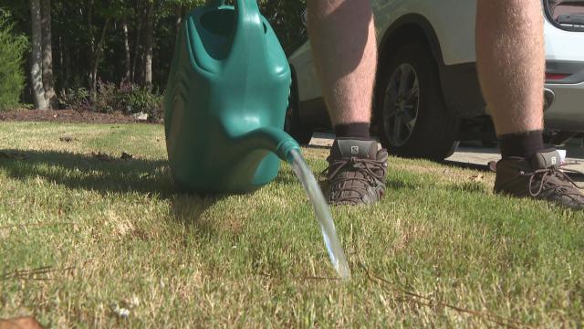 Insect specialists say a mixture of one to two tablespoons with a gallon of water can help bring them to the surface.