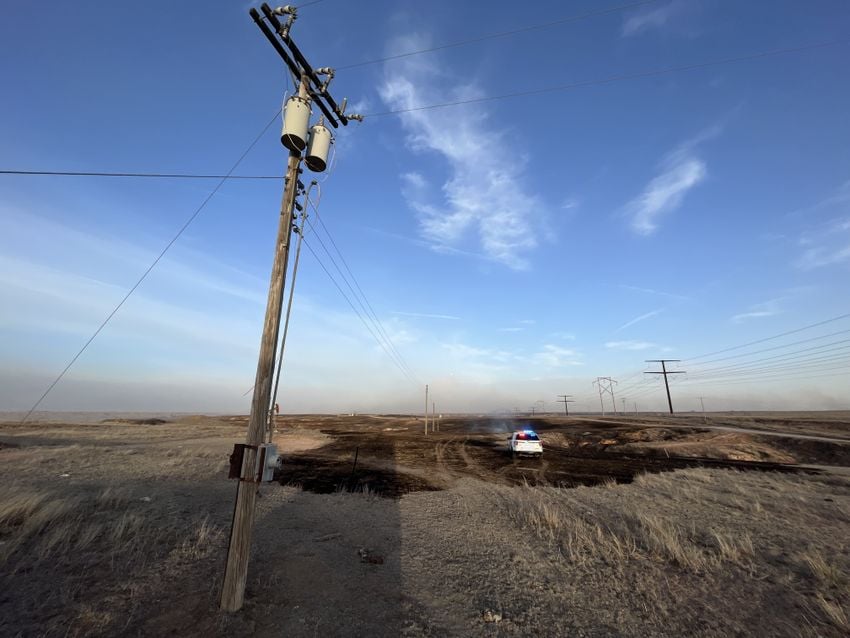 Inline article image