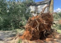 'I'm all shook up': NC residents recovering after intense rain brings flooding and downed trees