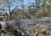 Mason County wildfire fully contained as of Sunday afternoon