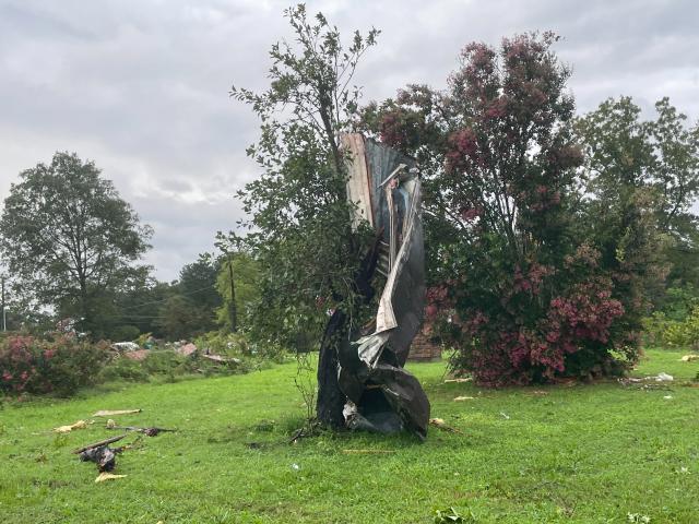 Damaged tree in Franklin County. Damaged tree in Franklin County.