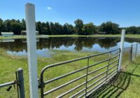 Cumberland County ditches still filled with water after Tropical Storm Debby