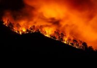 Why North Carolina has a fall wildfire season Why North Carolina has a fall wildfire season
