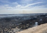 Panhandle wildfire documentary ‘We’re Here’ captures ranchers’ resilience