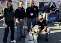 Therapy dogs offer support after Hurricane Helene
