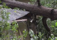 South Carolina residents with losses due to Hurricane Helene urged to apply for federal aid before January deadline