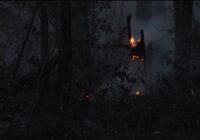 Wildfire in Columbus County 100 percent contained