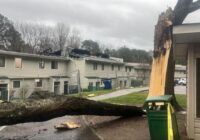 Trees uprooted in Raleigh neighborhoods, students shelter in place as tornado warning passes through Wake County