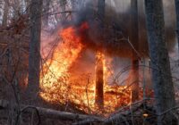 Brad Panovich links NC wildfires to Helene's aftermath in the mountains