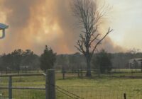 Wildfire in San Jacinto Co. grows to 1,200 acres, 10% contained