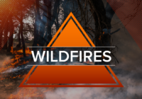 Crews contain wildfire in southeast Williamson County