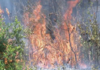 Lighter winds help crews fighting wildfires in South and North Carolina