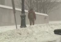 Big March storm system threatens US with tornadoes, blizzards and wildfire risk