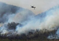 Heartbreak for NC resident as wildfire reduces lifetime home to ashes