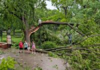 Mom leads 4 kids into primate house during St. Louis tornado–and it may have saved them