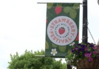 South Carolina festival ends early due to severe weather forecasts