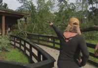 'It does affect what we do deeply' | Magnolia nonprofit races to restore therapy programs after storm damage