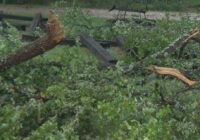 2 EF0 tornadoes touched down near Wimberley during Thursday's early morning storms