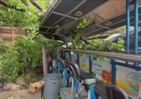 Trolley Pub Austin pauses tours after storm damages party bicycles