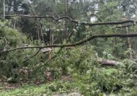 Chapin tornado had 95 MPH winds, was two football fields wide, forecasters say