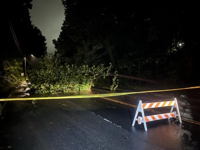 A massive tree fell on Raleigh Road in Chapel Hill between Country Club Road and N. Fordham Blvd. 