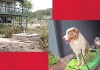 Family of 33 survives Hill Country flooding on hotel roof; woman and dogs ride out storm in kayak