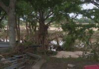 Olivia Chappins has seen devastating floods along the Guadalupe over the years. None were like this one.