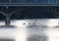 Austin extends watercraft ban until Tuesday in wake of area flooding