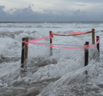 Sea turtle nests washed away as Hurricane Erin moves off coast