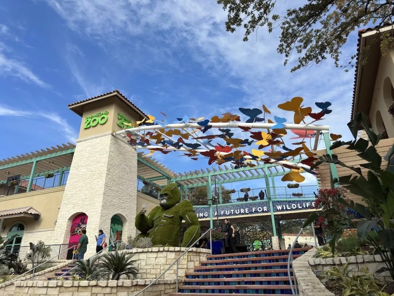 San Antonio Zoo to disburse 20,000 complimentary tickets to folks affected by Texas floods