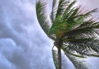Tropical Storm Melissa lumbers through the Caribbean as islands take cover from rain Tropical Storm Melissa lumbers through the Caribbean as islands take cover from rain